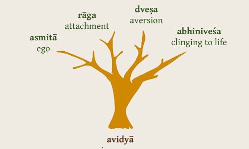 पंचक्लेश  (Panchklesh) (Also for Preparation of UGC NET)