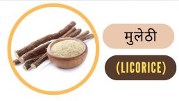 मुलेठी के फायदे और नुकसान ( Licorice (Mulethi) Benefits and Side Effects in Hindi)