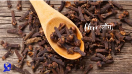 लौंग खाने से मजबूत होती है इम्यूनिटी (All About Clove (Laung) in Hindi)