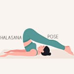 Halasana Pose