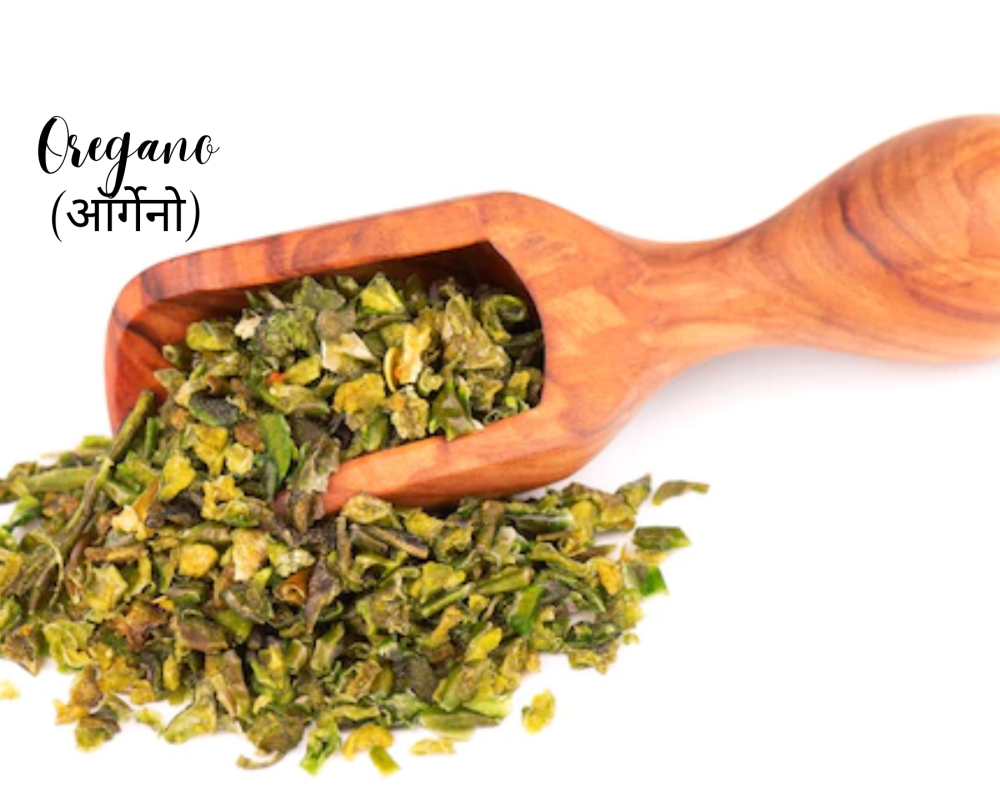 oregano benefits in hindi Archives The Aarn Group