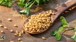 मेथी (Fenugreek): क्या रोज मेथी खाना सेहत के लिए अच्छा है?