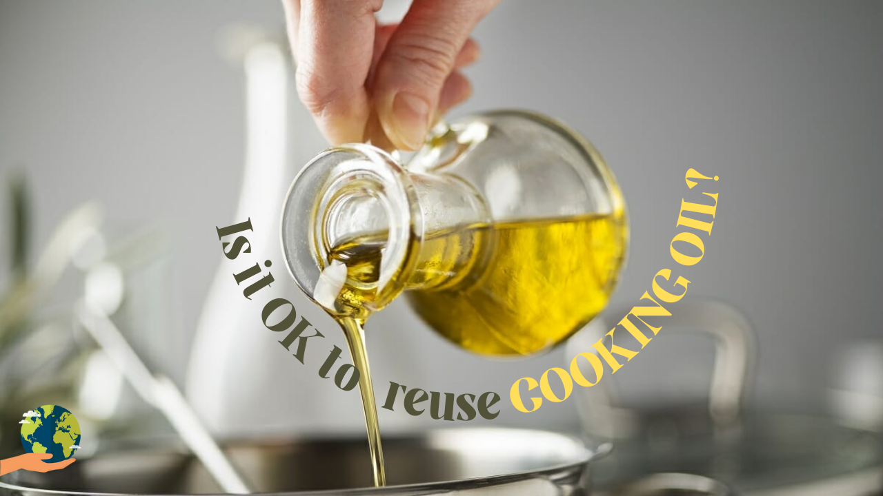 Used Cooking Oil: क्या खाना पकाने के तेल का बार-बार उपयोग करना सुरक्षित है?