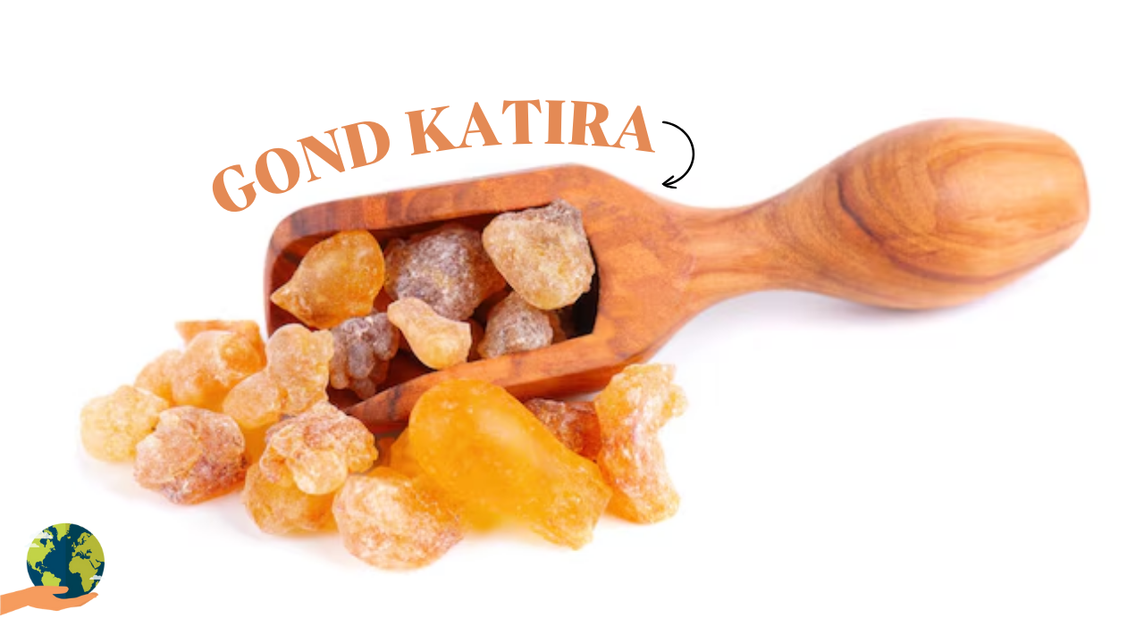 Gond Katira: गर्मी में अमृत का काम करता है गोंद कतीरा