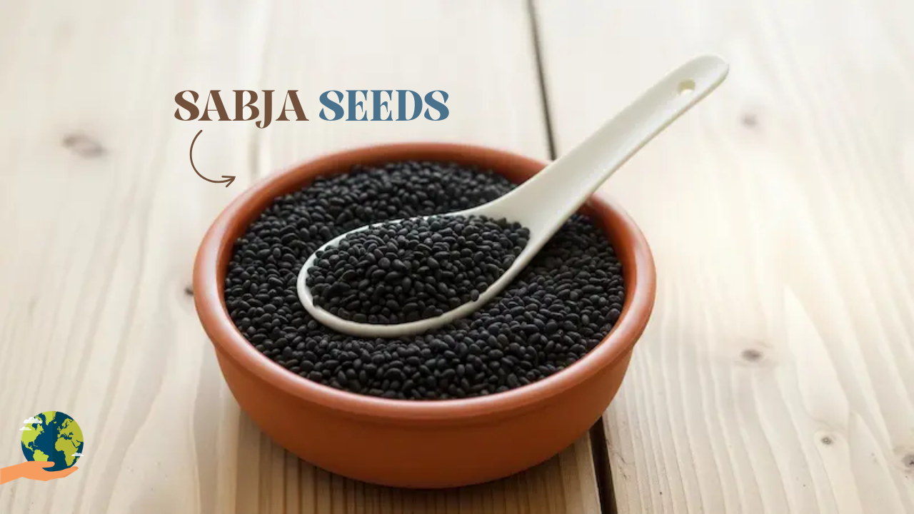 Sabja Seed (เคคเฅเคฒเคธเฅ เคเฅ เคฌเฅเค): เคเคพเคจเคฟเค เคธเคฌเฅโเคเคพ เคธเฅเคกเฅเคธ เคเฅ เคฏเฅ เคเคเคผเคฌ เคซเคผเคพเคฏเคฆเฅ